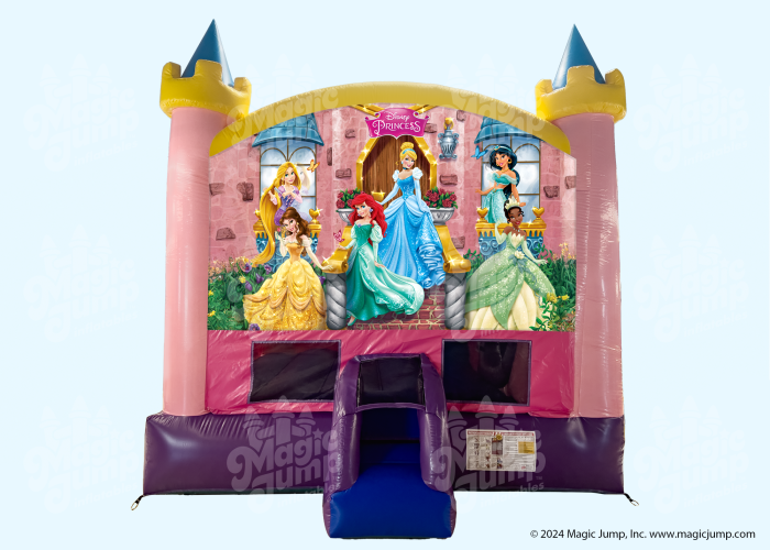 Disney Princess C5 Combo Wet or Dry