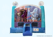 Disney Frozen 2 C5 Combo Wet or Dry