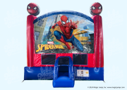 Spider-Man C5 Combo Wet or Dry